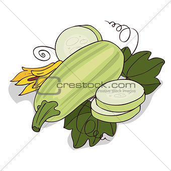 Isolate courgette or zucchini