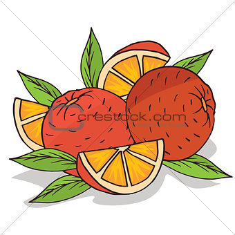 Isolate ripe oranges fruit