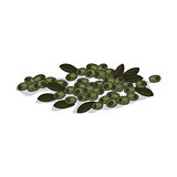 Isolated clipart Olives