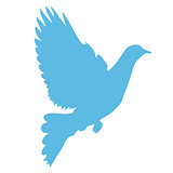 Silhouette of dove taking wings - peace symbol