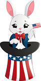 Happy Presidents Day rabbit