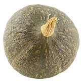 Isolated one whole pumpkin on white background