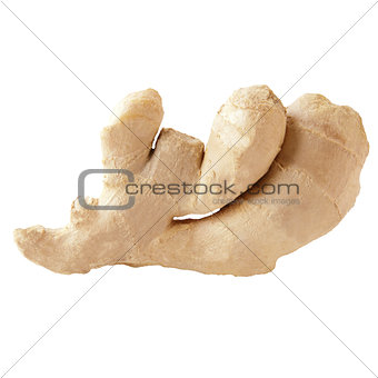One ginger root isolated on white background