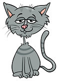 funny cat cartoon comic animal character
