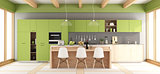Green and gray modern kitchen