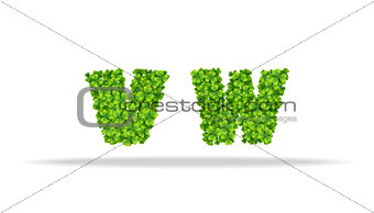 Alfavit from the leaves of the clover. Letters VW.
