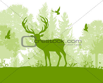 Nature landscape with deer