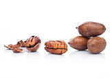 Raw pecans with shell on white background