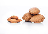Raw almonds nuts with shell on white background