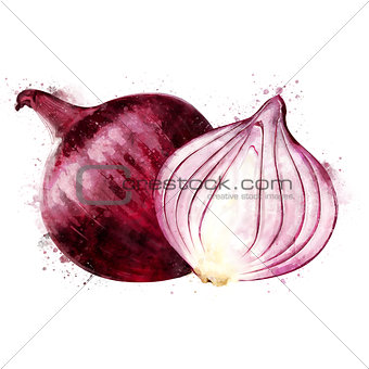 Red Onion on white background. Watercolor illustration