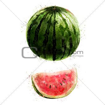 Watermelon on white background. Watercolor illustration