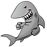 Cartoon Shark Vector Illustration