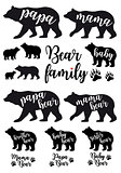 Mama bear, papa bear, baby bear, vector set