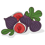 Isolate ripe figs or fig fruits