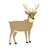 Vector illustration of a cute deer.