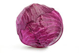 Red cabbage head
