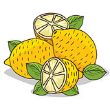 Isolate ripe lemon fruit