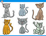 funny cartoon cats characters set