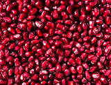 Close up of pomegranate seeds