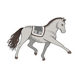 Dressage horse vector illustration.