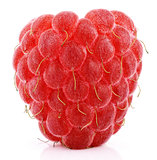 Single raspberry fruit isolated on white