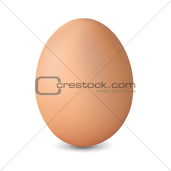Fresh Egg Isolated