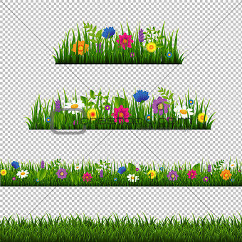 Grass Border With Flower Collection Isolated Transparent Backgro