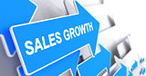 Sales Growth - Inscription on the Blue Pointer. 3D.