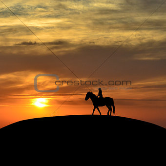 Horseback woman rider at sunset