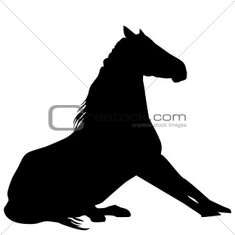 Silhouette of horse sitting