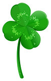 Green lucky four leaf clover symbol of St. Patrick's day