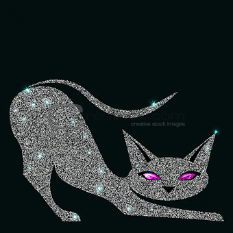 Silver cat with violet eyes