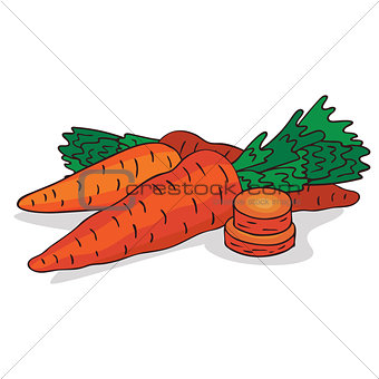 Isolate ripe carrot root vegetable