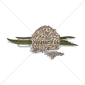 Isolated clipart Rice
