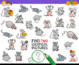 find two identical mice educational activity