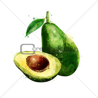 Avocado on white background. Watercolor illustration