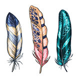 Colorful detailed bird feathers, isolated on white background. Vector illustration.