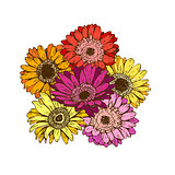 Bouquet of daisies flower on white background. Vector set of blooming floral for wedding invitations and greeting card design.