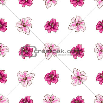 Seamless pattern with pink lilies flower on white background. Vector set of blooming floral for wedding invitations and greeting card design.