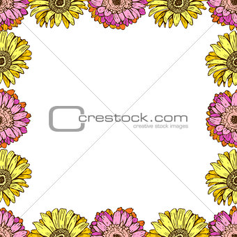 Seamless pattern with daisies flower on white background. Vector set of blooming floral for wedding invitations and greeting card design. Can be used as a flower frame.