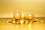 Gold coins and golden eggs, the concept of financial growth