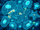 Amoebas on abstract blue background