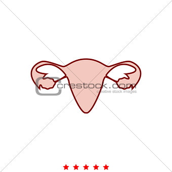 Uterus it is icon .