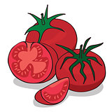 Isolate ripe tomato vegetable