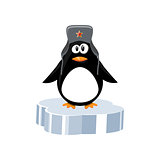 Penguin on ice floe