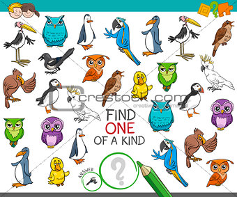 find one of a kind with birds animal characters