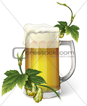 Beer mug, hops, vector
