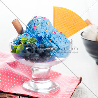 Blueberry ice cream bowl