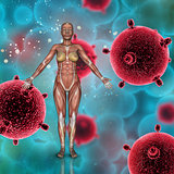 3D female medical figure with muscle map on a virus cells backgr