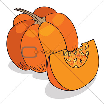 Isolate ripe squash or pumpkin